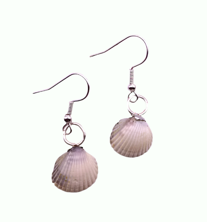 small white seashell earrings and silver