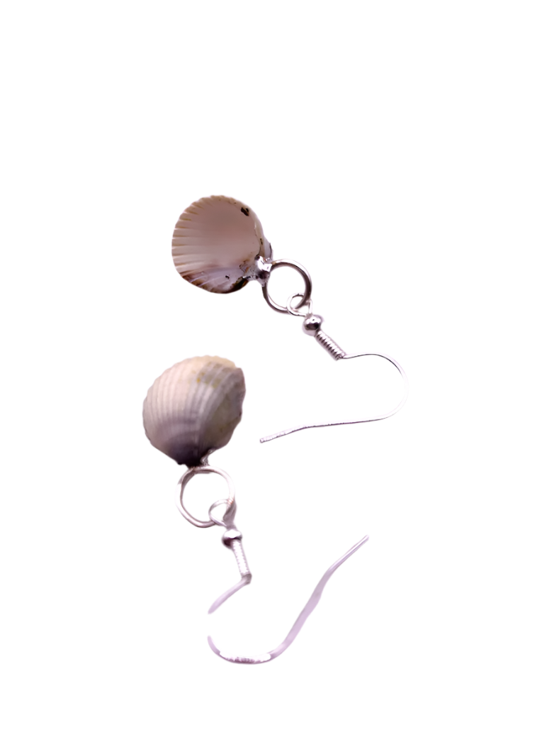 white seashell earrings with silver